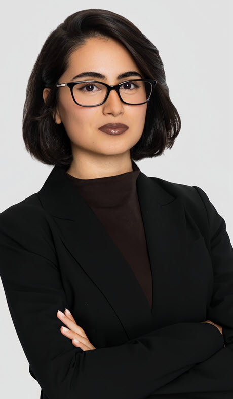 Commercial Law Firm in Toronto | Best Lawyers in Toronto | Corporate & Commercial Law | Real Estate Law | Employment Law | Commercial Lending | Entertainment Law | Intellectual Property Law | Debt Recovery | Mortgage Enforcement | Commercial LitigationCommercial Litigation 7 RAHA Pic 1